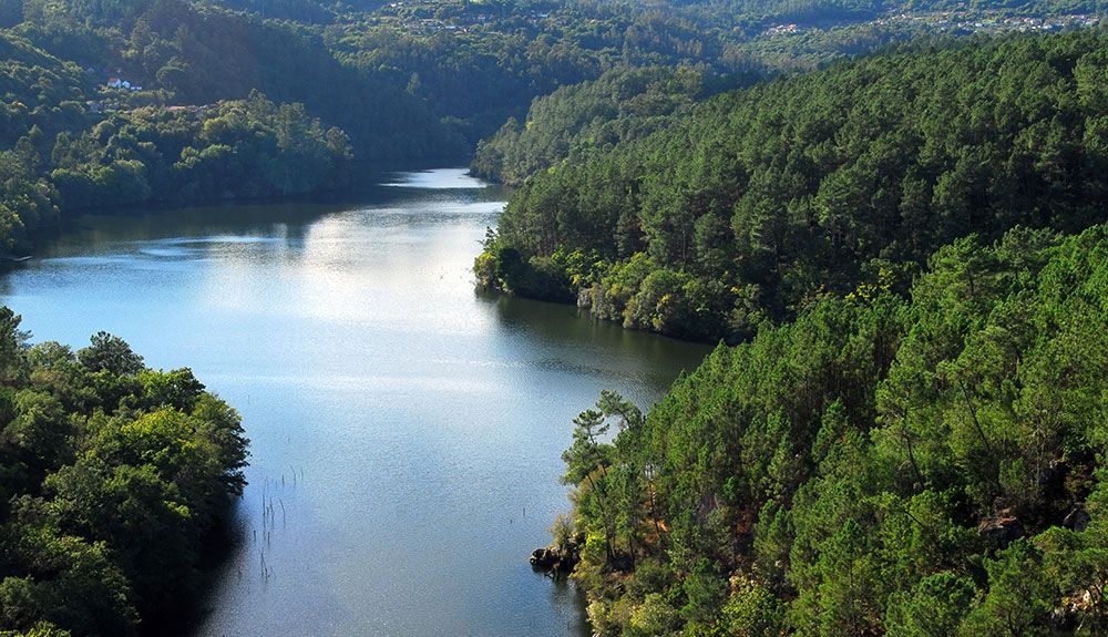 Desembocadura del Río Deva, una maravilla ambiental