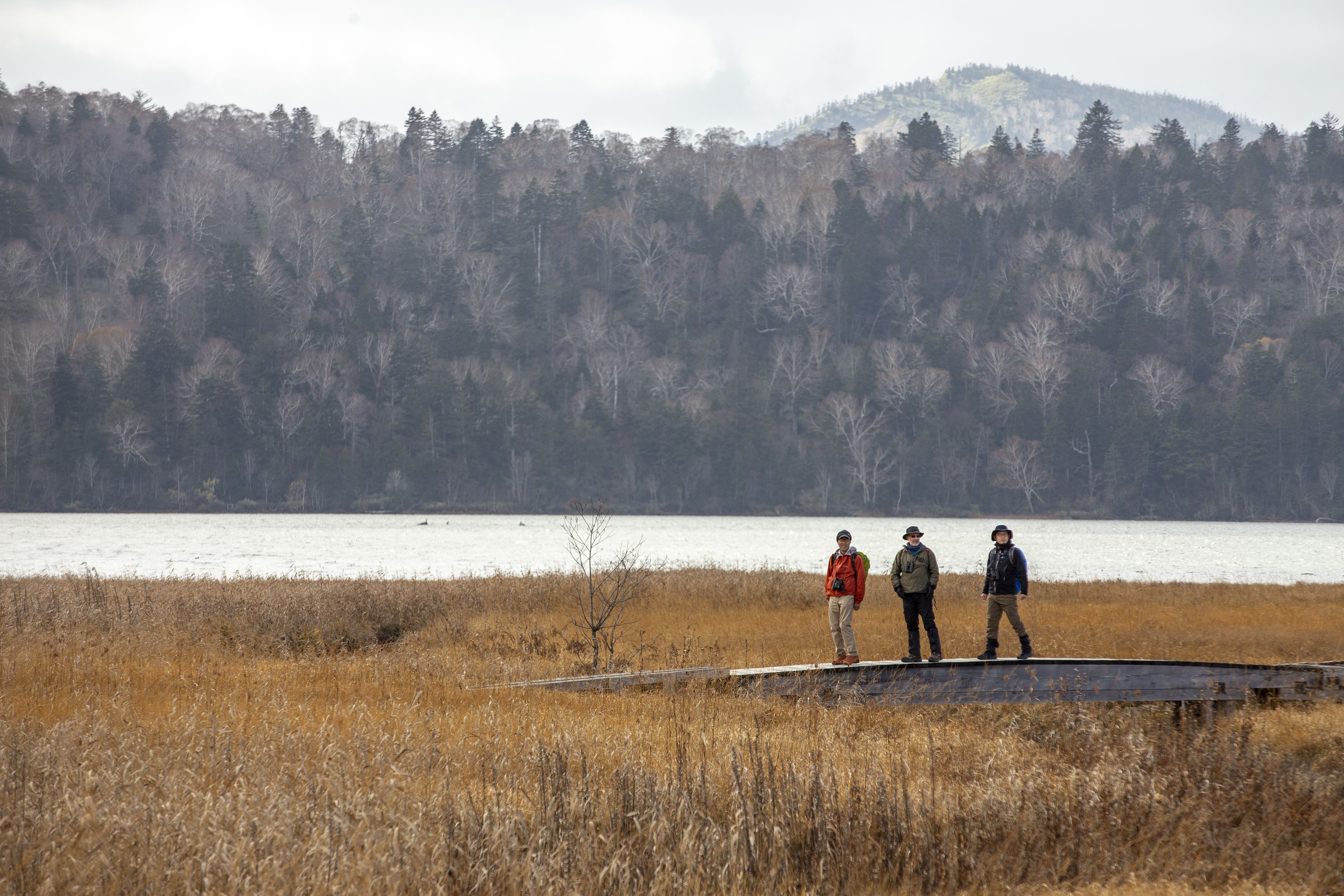 Parque Nacional Oze, en Fukushima