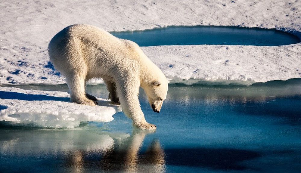 La contaminación por plásticos en el océano podría cuadruplicarse para 2050