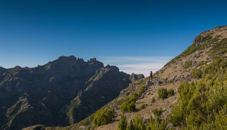 madeira1 madeira1
