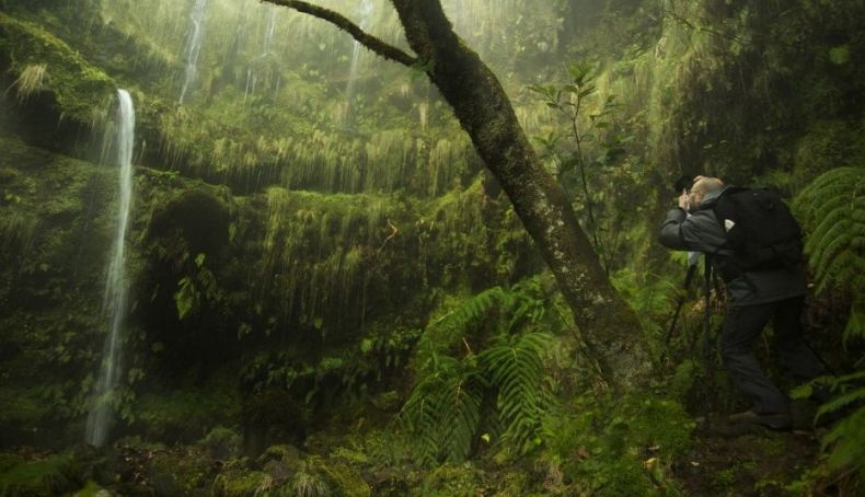 Madeira