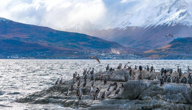 Patagonia