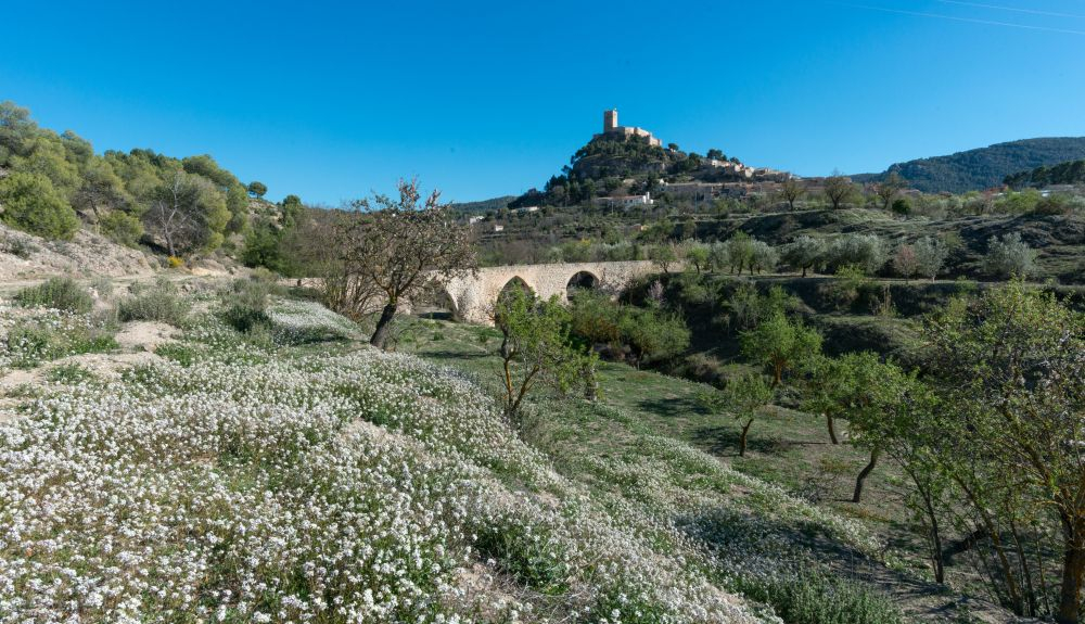 Biar Vía Verde Xixarra Biar Vía Verde Xixarra