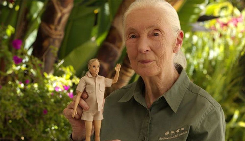 Barbie Jane Goodall ya disponible para su venta