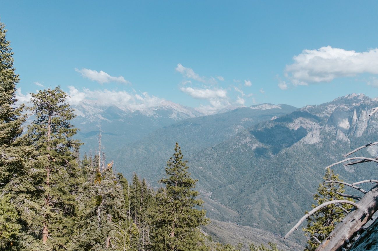 Austria acogerá al Campeonato Mundial de Mountain Running y Trail Running