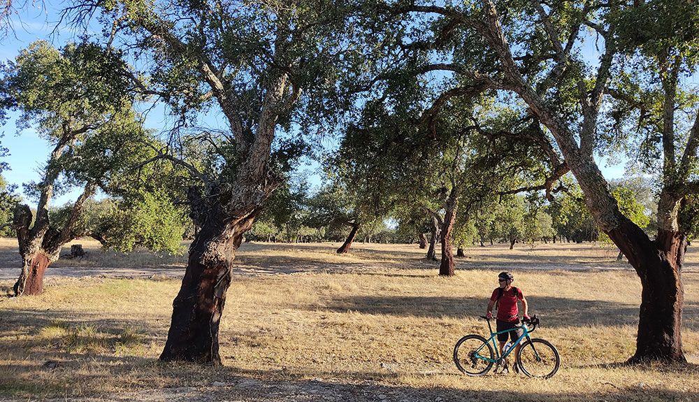 En bici de gravel por las dehesas de Monfragüe