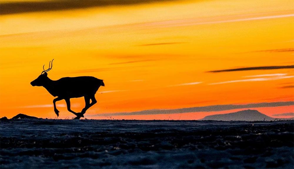 Un viaje a Noruega para este verano. Foto: VisitNorway