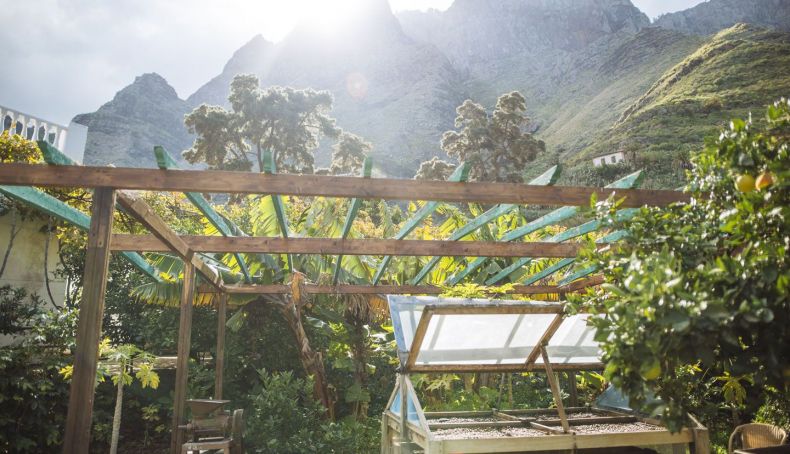 Finca La Laja & Bodega Los Berrazales