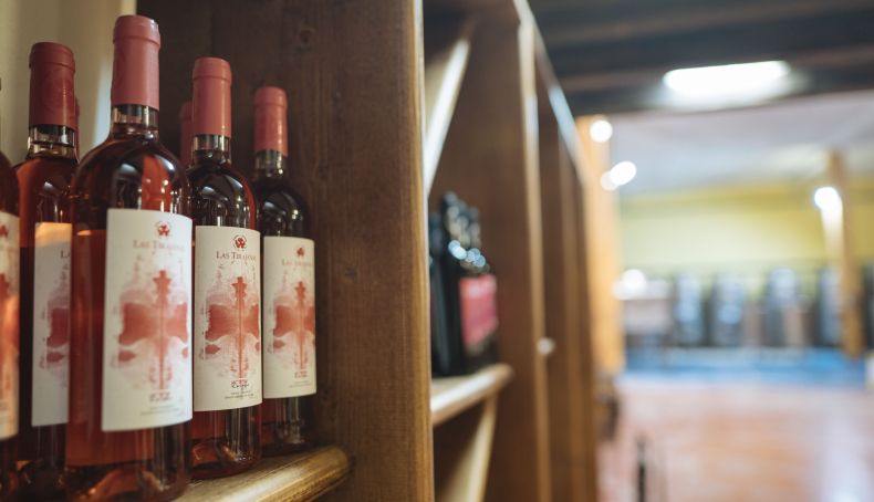 04 Bodega Las Tirajanas