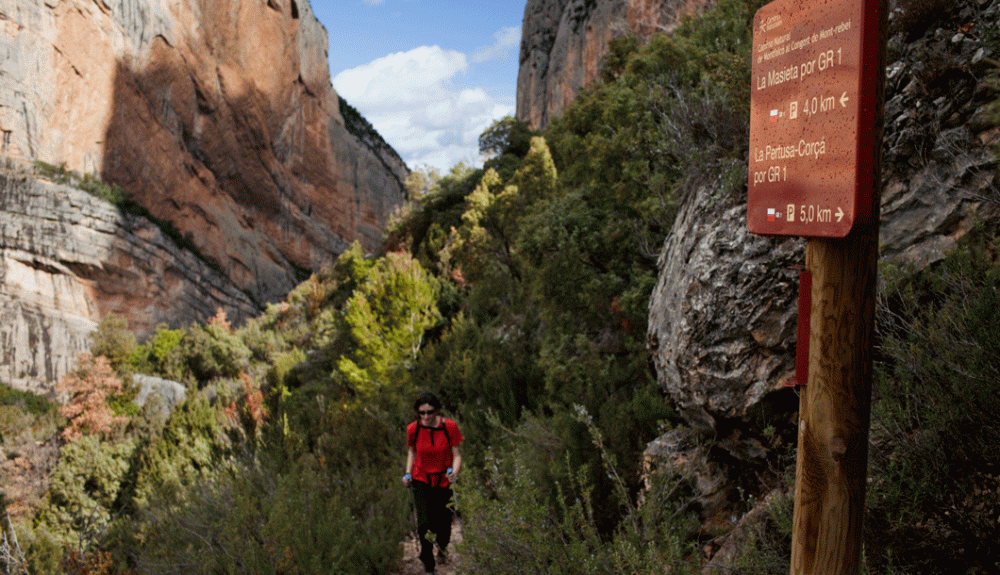 Oriol Clavera Mont rebei