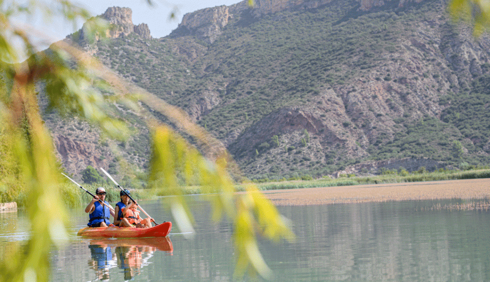 Kayak