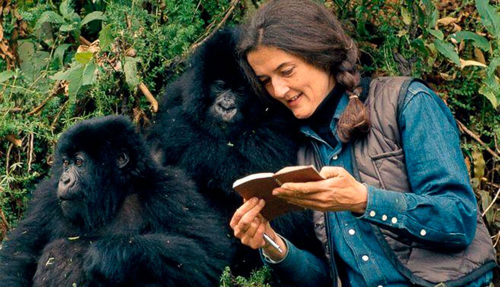 10 conservacionistas que realmente cambiaron el mundo