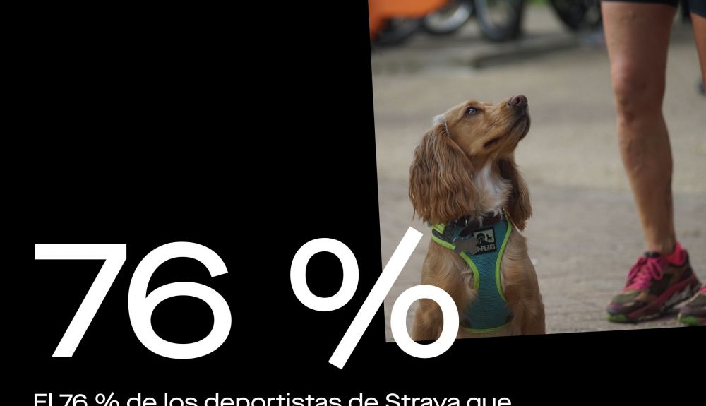 Strava Share Asset 04 Mascotas y Actividad