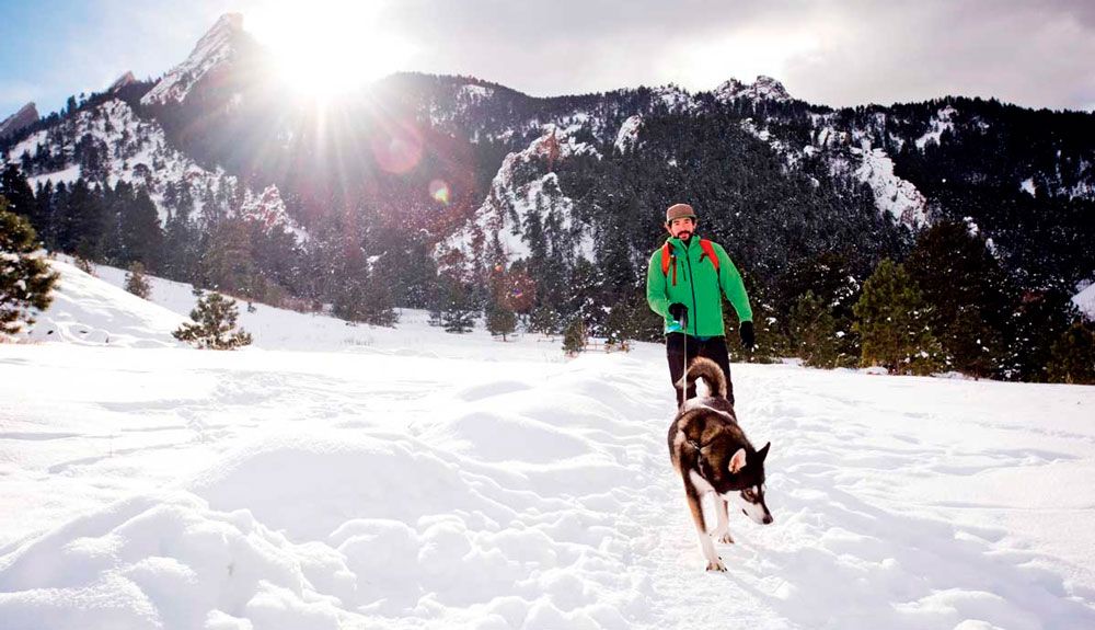 6 consejos para disfrutar de la nieve con tu perro