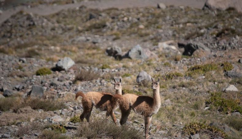 Los Maitenes 2 Creditos SERNATUR O'Higgins Los Maitenes 2 Creditos SERNATUR O'Higgins