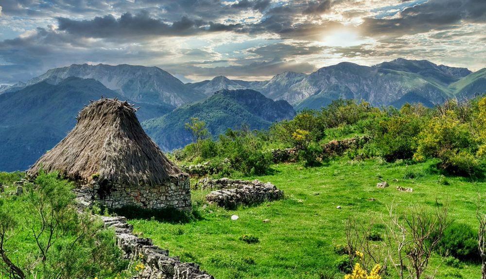 Caminos verdes al alba