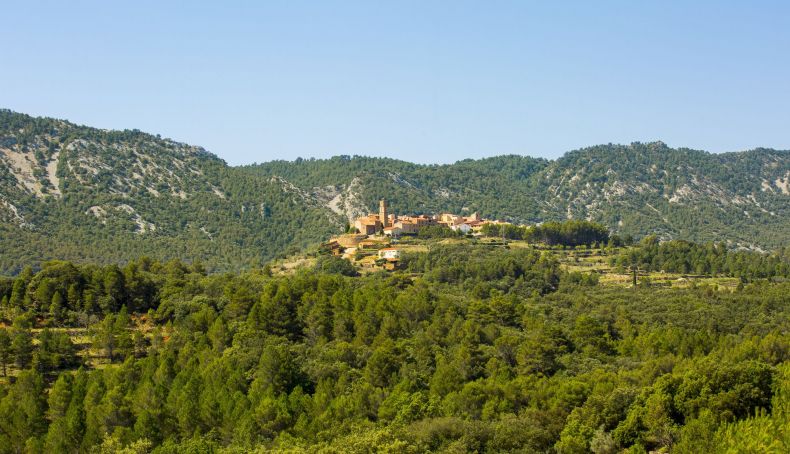 El Ballestar 01 C4D02563B54441CFAC2D5509982A32CEsize big