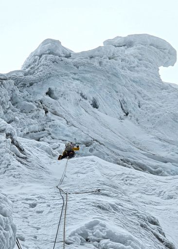 PISCOSOUR02©HermanosPou