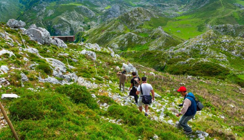 Excursionistas AdobeStock Excursionistas AdobeStock