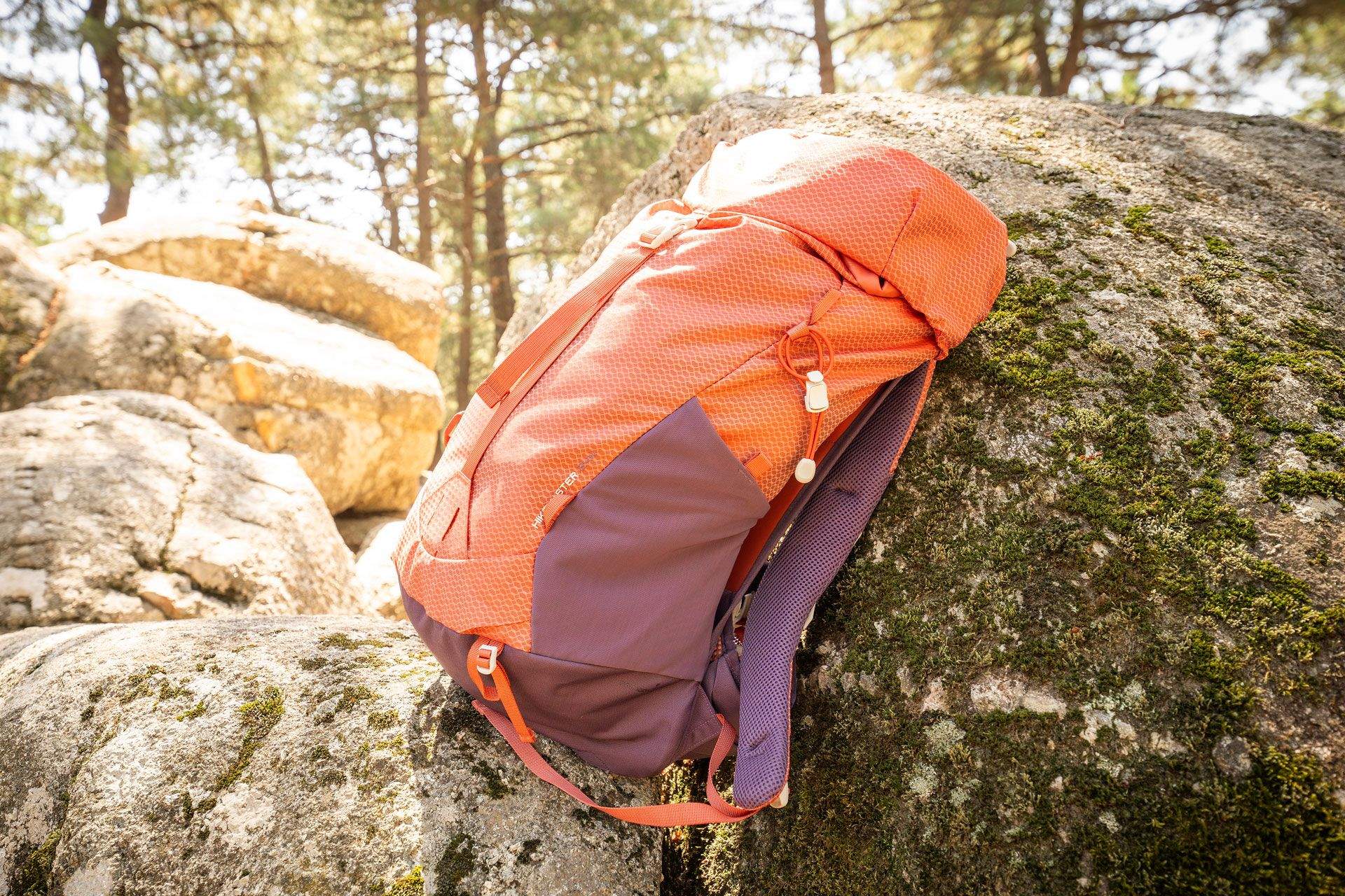 Ferrino Hikemaster Foto: Mikael Helsing 