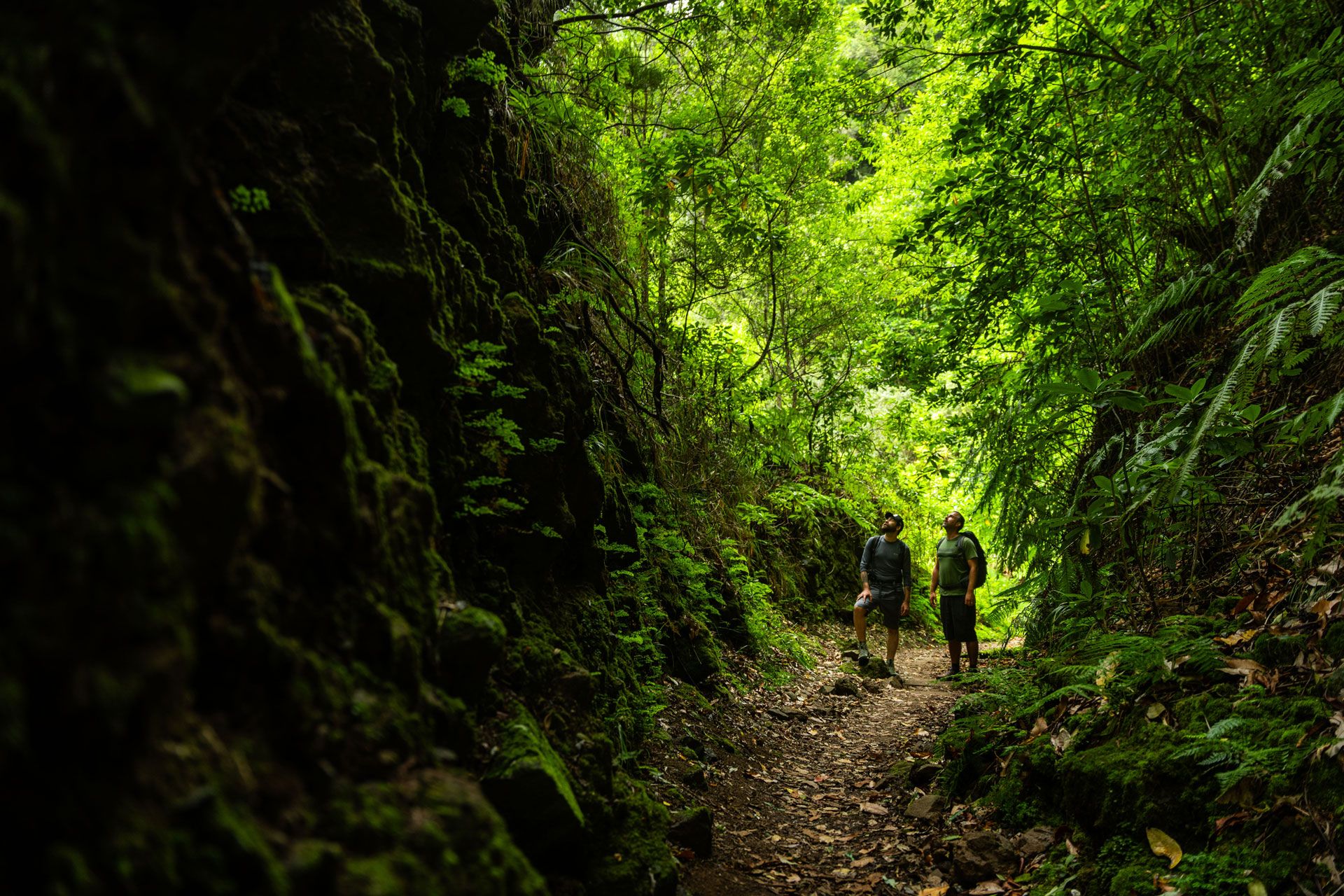 madeira insólita