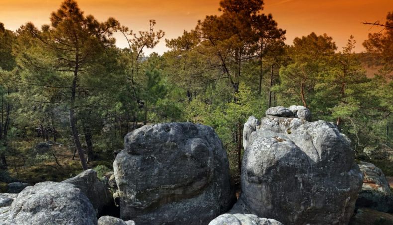 fontainebleau forest boulders 1024x681