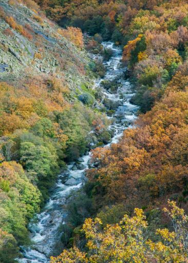 Otoño en el Valle del Jerte. Foto: Turismo Valle del Jerte Otoño en el Valle del Jerte. Foto: Turismo Valle del Jerte
