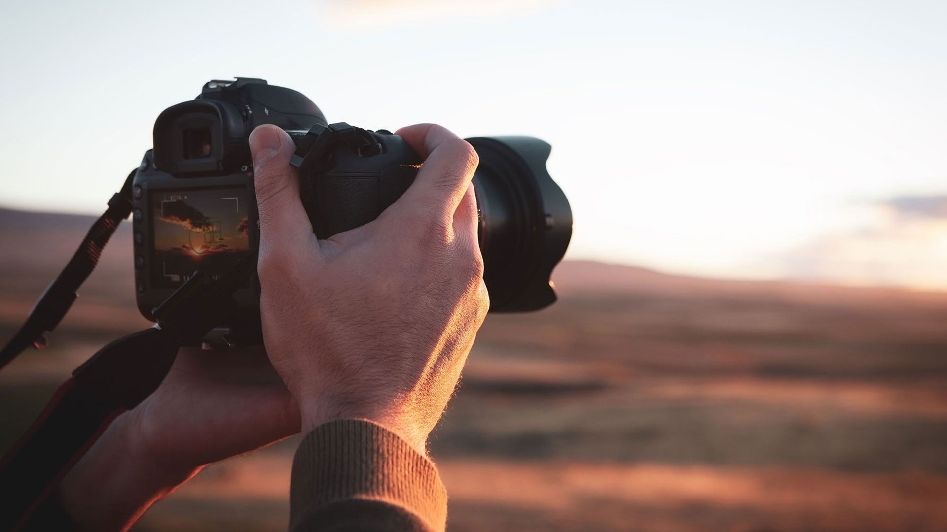Fotografía en la naturaleza con Lexus: los tres pilares ©️istockokjpg