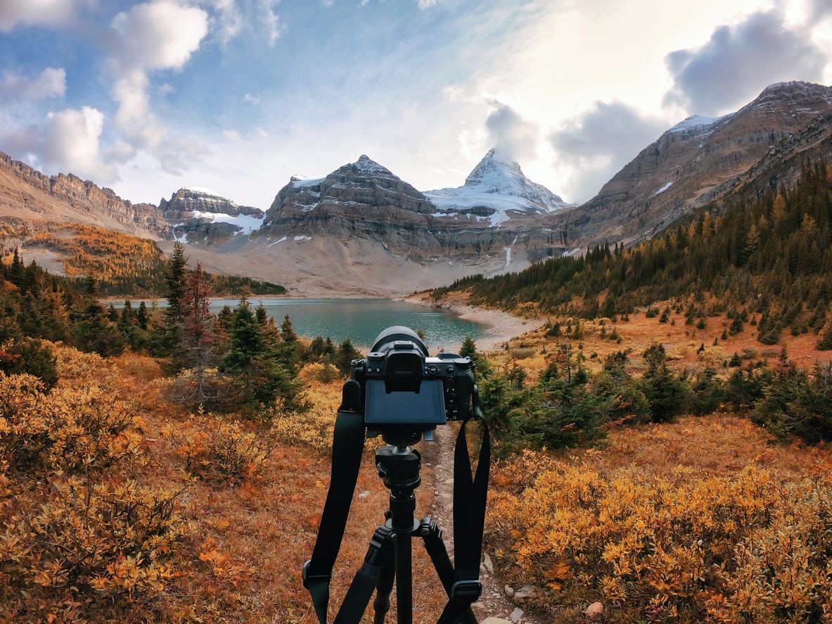 Fotografía en la naturaleza con Lexus: el uso del trípode (Foto: iStock)