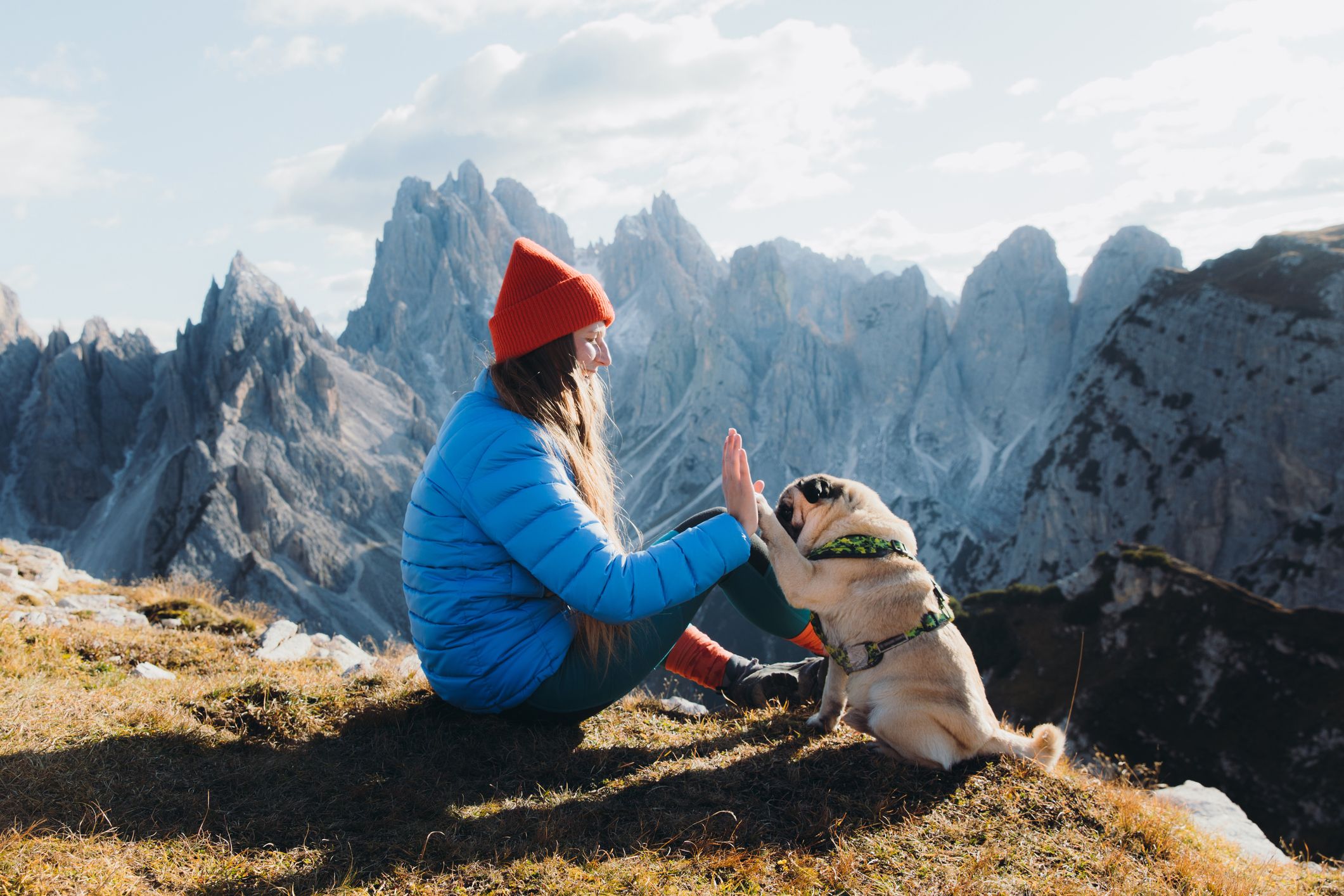 Perros y animales en la naturaleza: cómo comportarnos