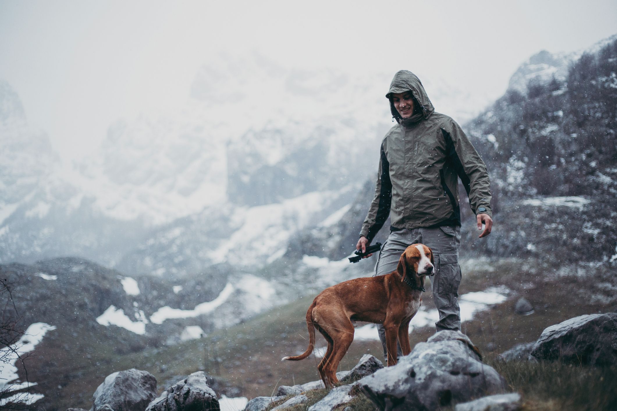 Consejos para proteger a tu perro de la lluvia