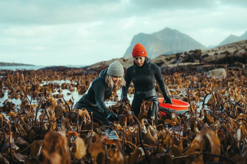 Lofoten y Vesterålen: el corazón salvaje de Noruega