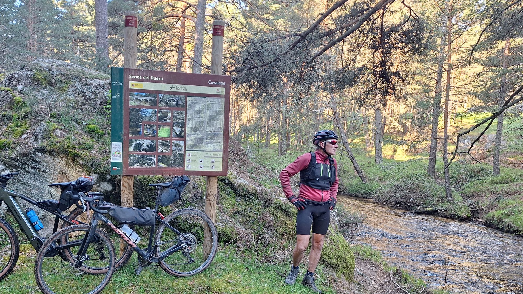 Bikepacking en uno de los bosques más espectaculares de España