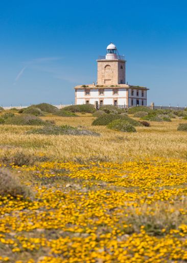 Faro 2 Faro 2