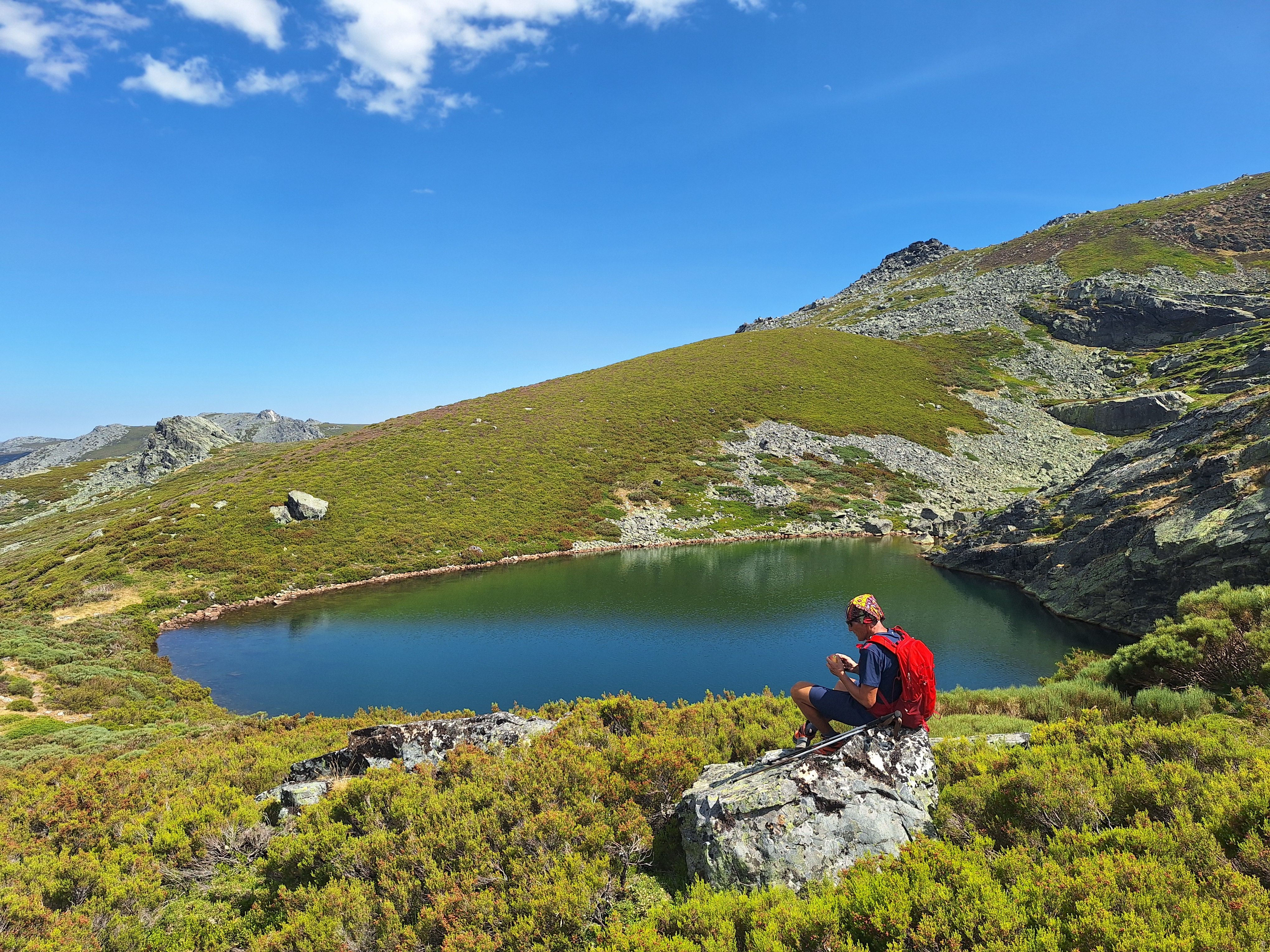 Vizcodillo, el guardián de las lagunas