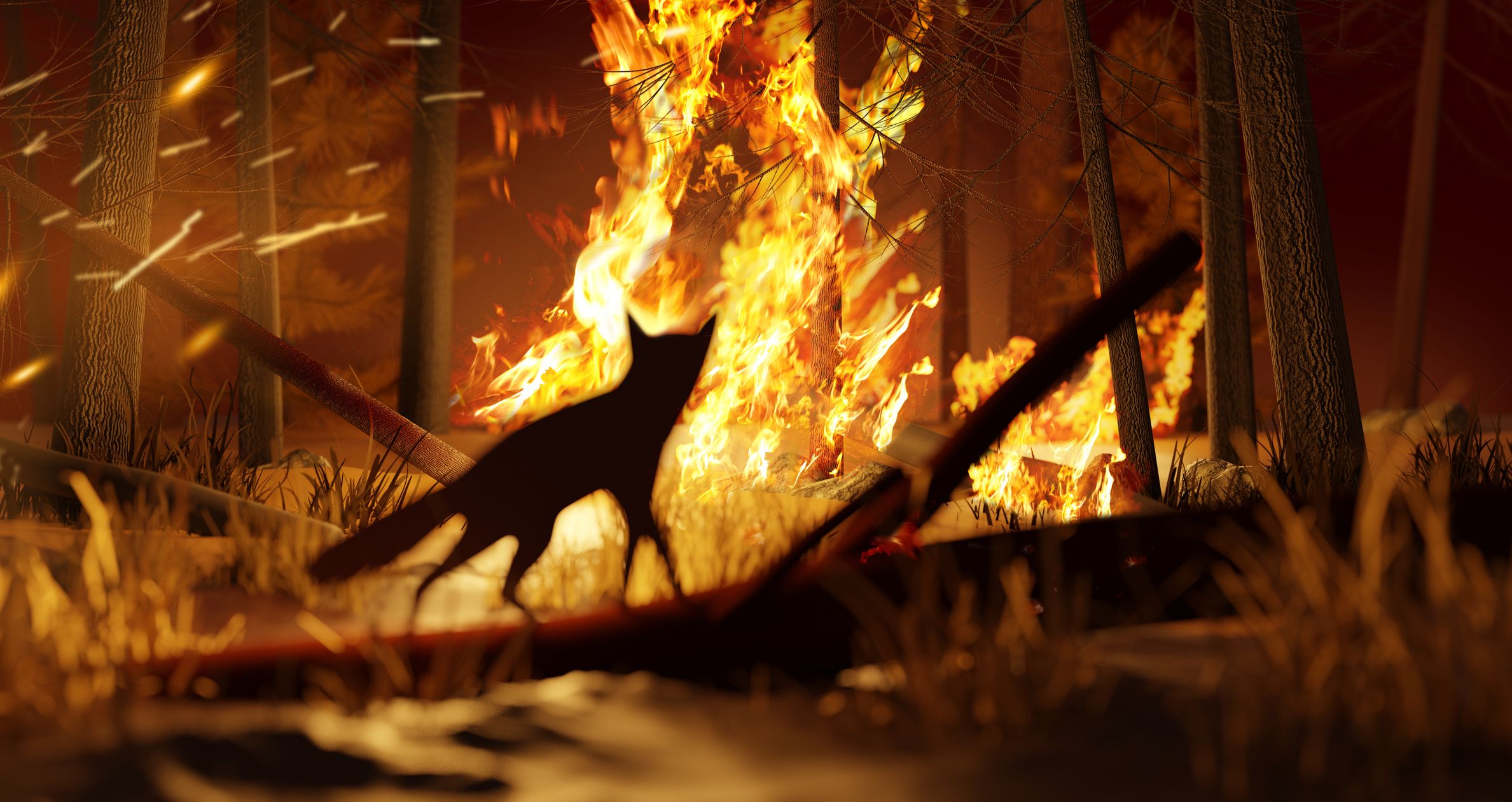7 acciones esenciales para evitar incendios en la naturaleza