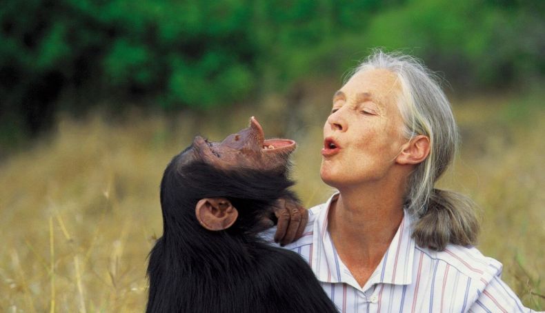 muere jane goodall