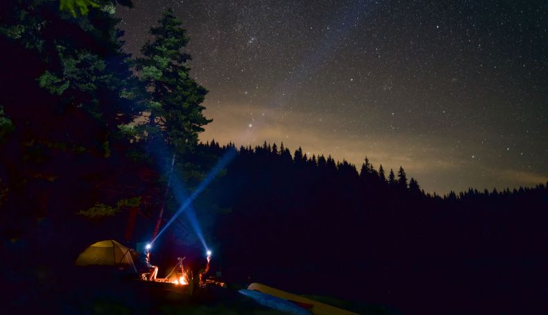 iStock 1297179955 iStock 1297179955