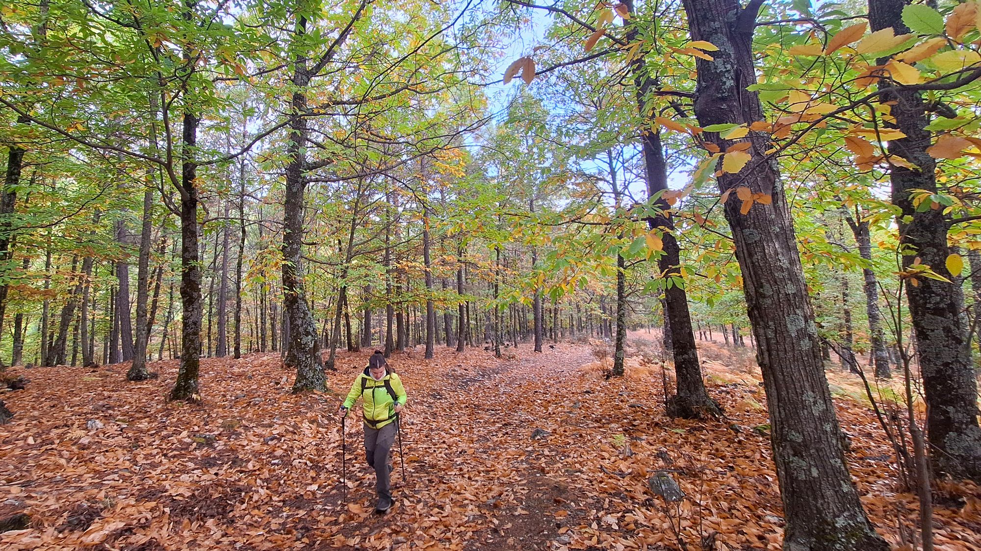 Valle de Iruelas, la magia visual del otoño