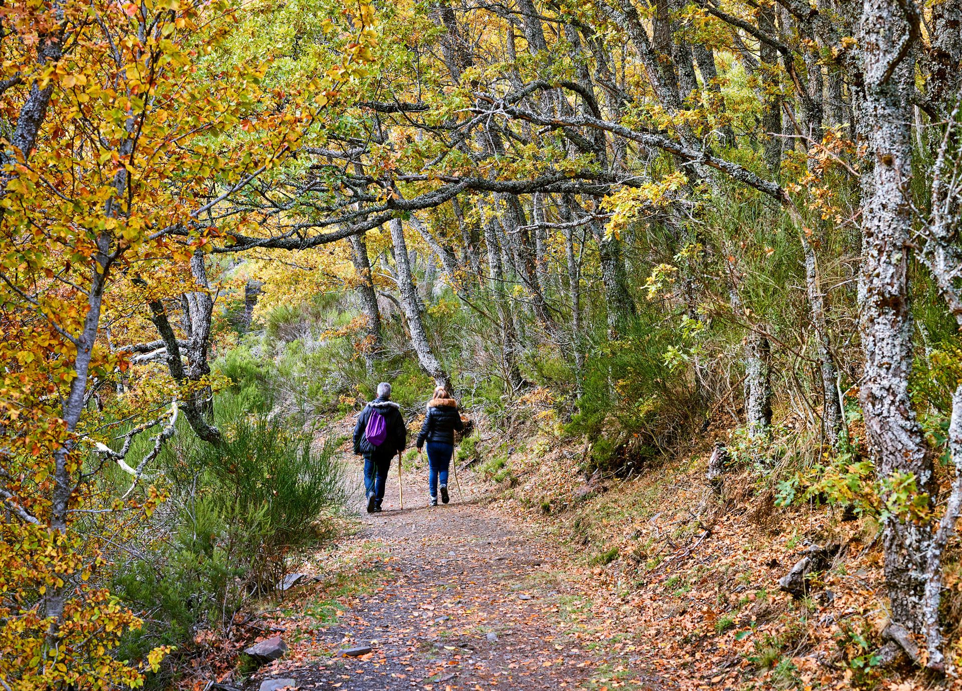 © Turismo de Castilla-La Mancha | David Blázquez