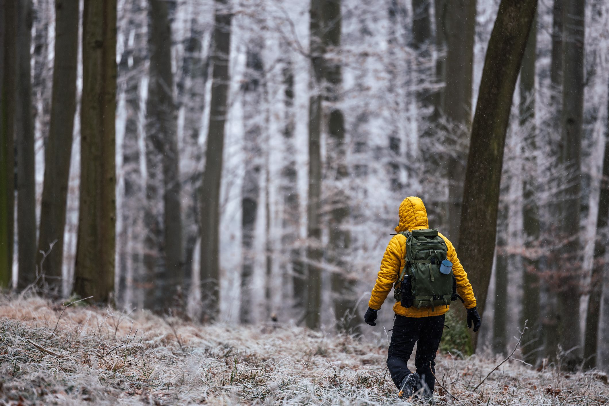 Queridas capuchas... ¿Bendición o estorbo?