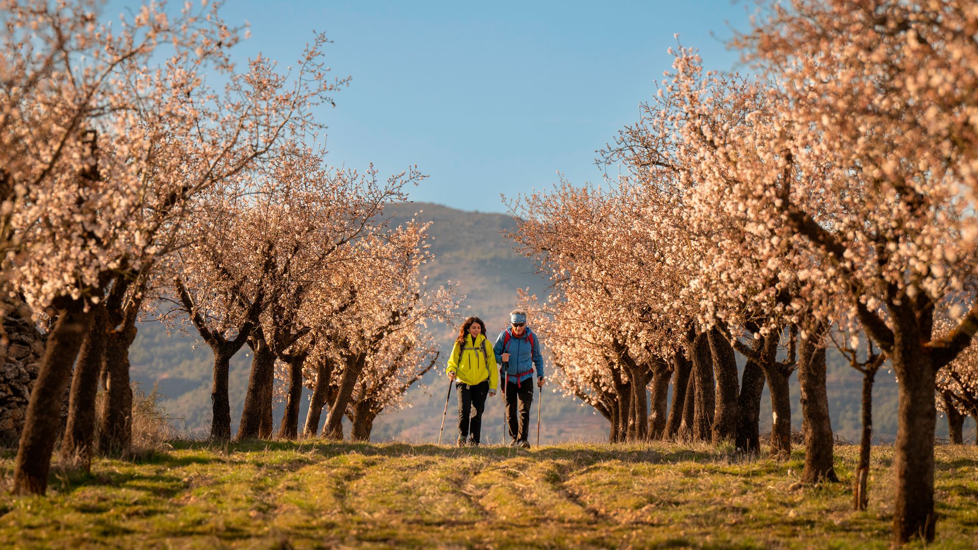 Rincón de Ademuz, un “rincón” para perderse. Foto: Mikael Helsing