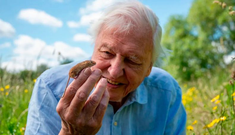 Sir David Attenborough cumplió 100 años el pasado viernes 8 de mayo