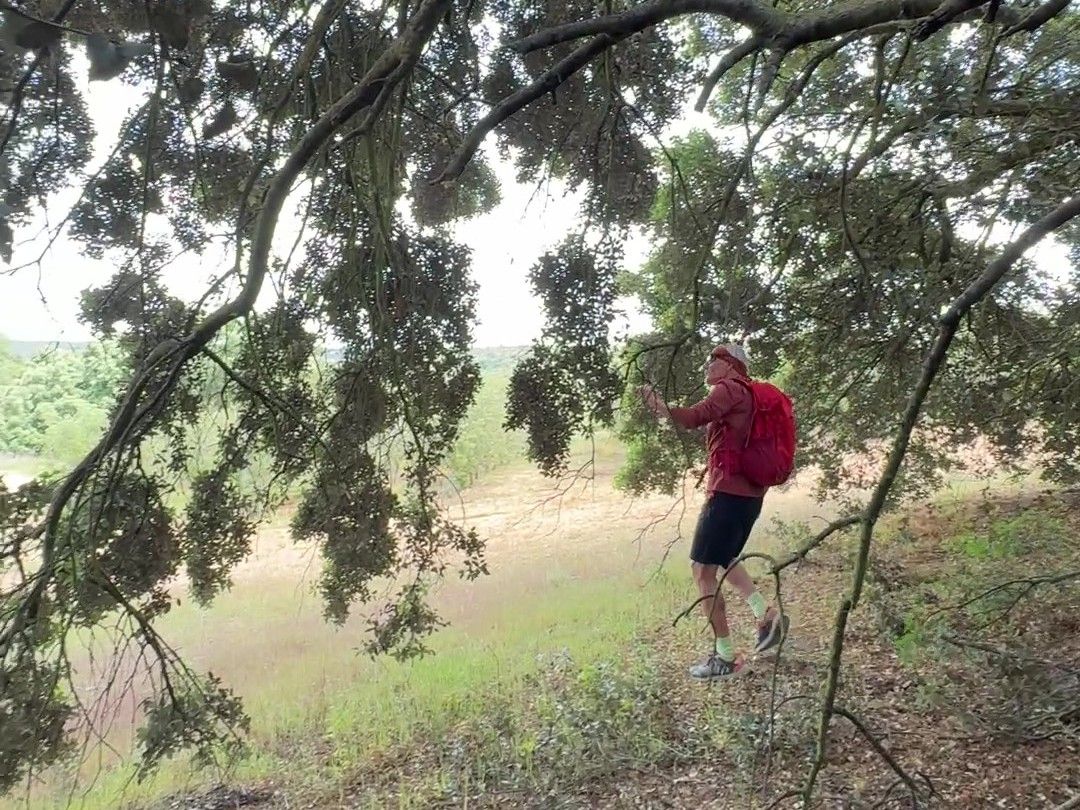 La Senda de Valmores, una ruta para descubrir el alma barroca y natural de la Alcarria madrileña