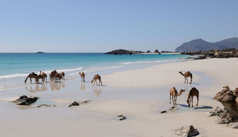 Mirbat Beach, Salalah, Dhofar