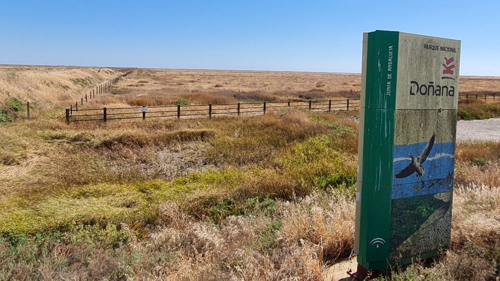 Doñana podría entrar en la Lista del Patrimonio Mundial en Peligro