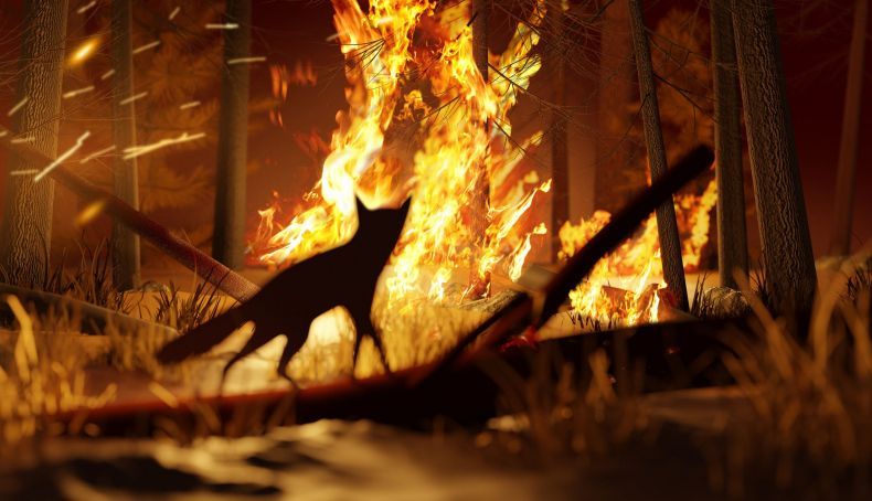 Incendios forestales: los 10 gestos que pueden evitar una tragedia este verano