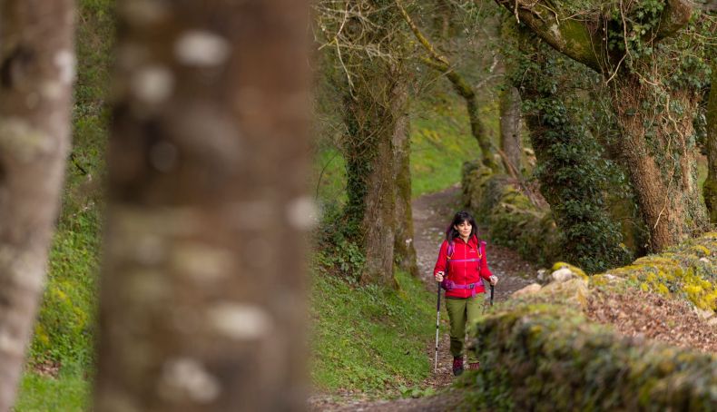 Camino Santiago Primitivo 314