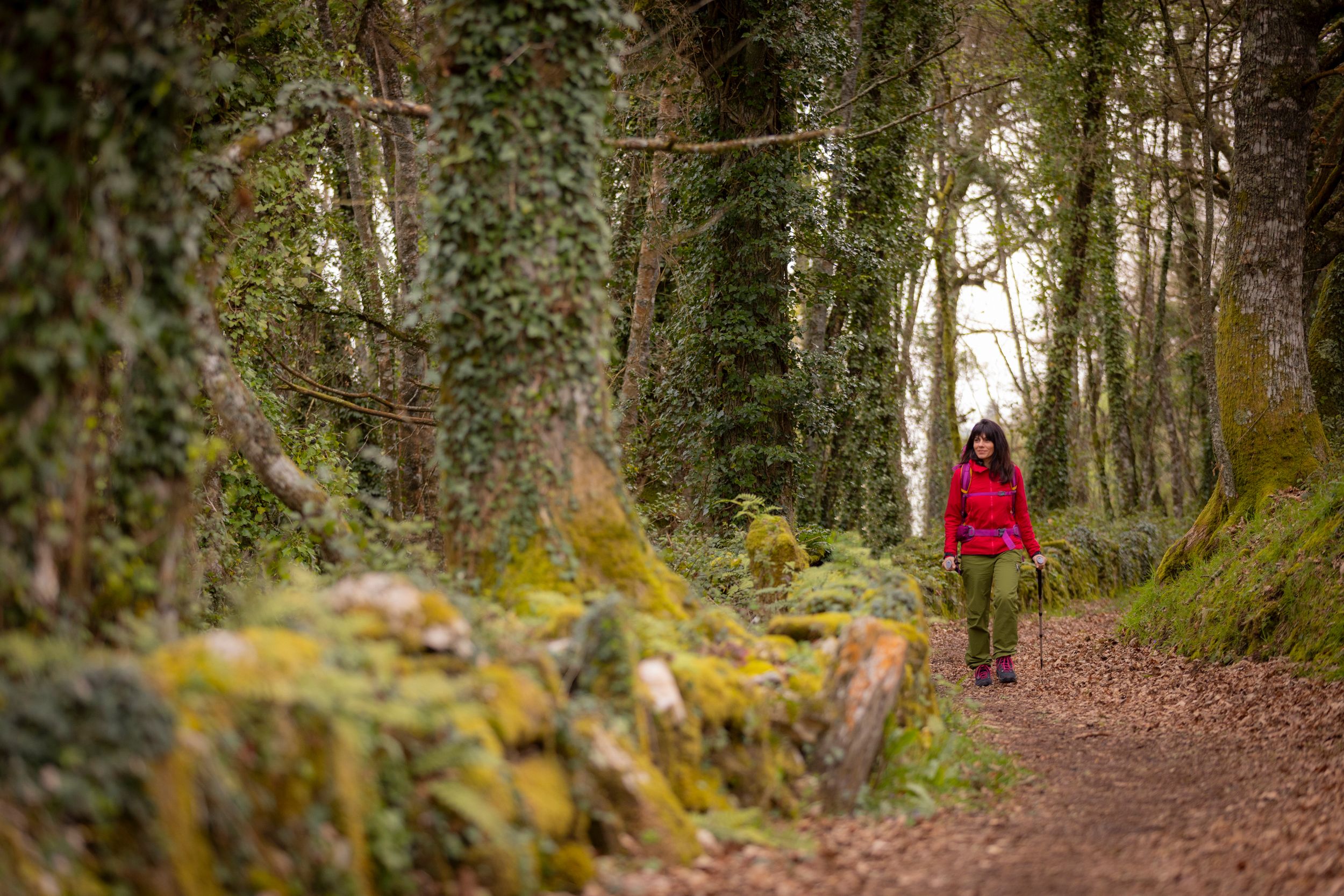 Camino Primitivo: La esencia del Camino de Santiago