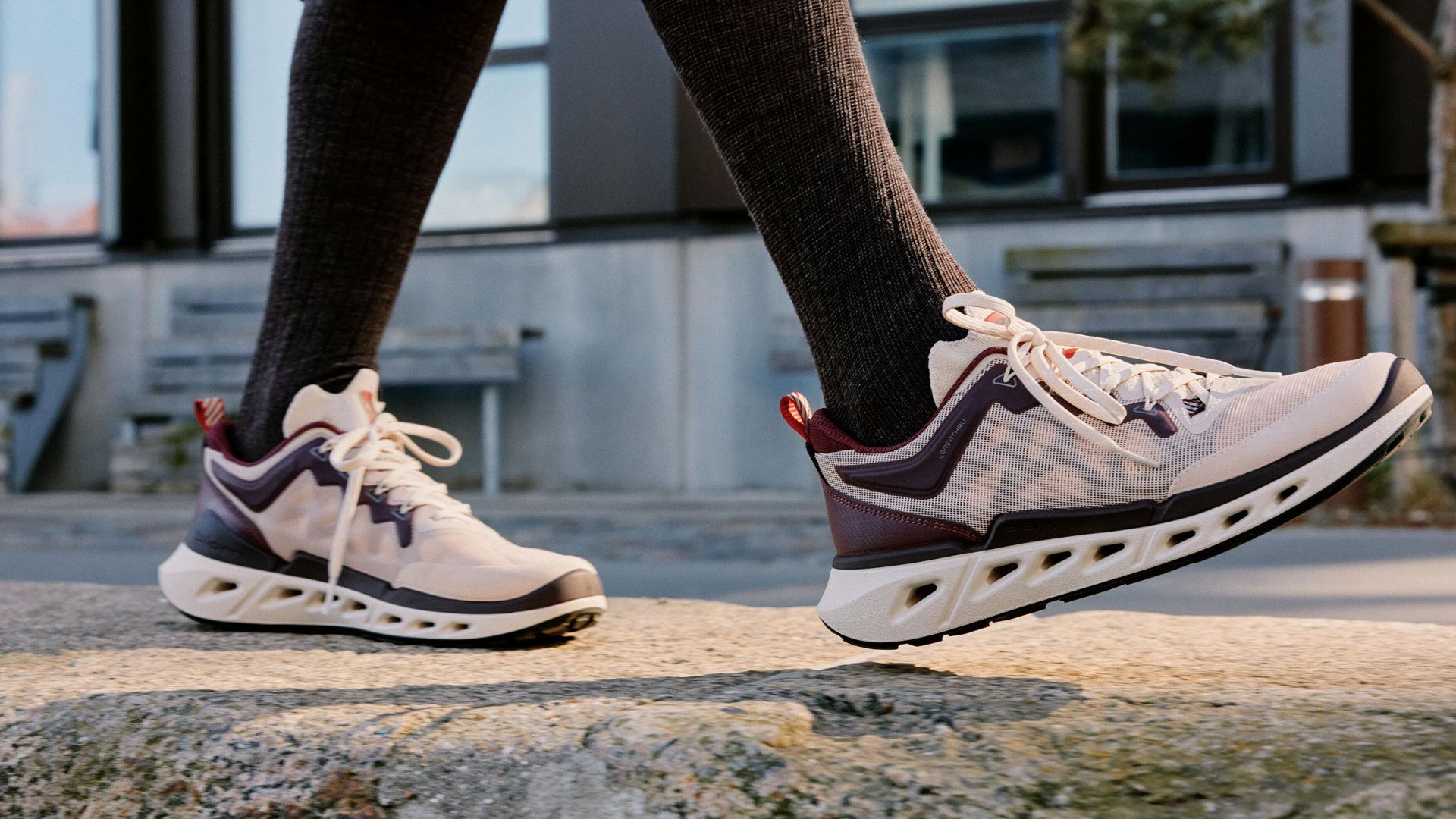 El modelo ECCO Biom720